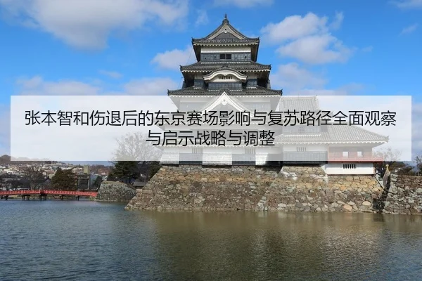 张本智和伤退后的东京赛场影响与复苏路径全面观察与启示战略与调整